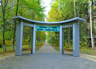 Продаю участок, 27 сот., деревня Ворсино