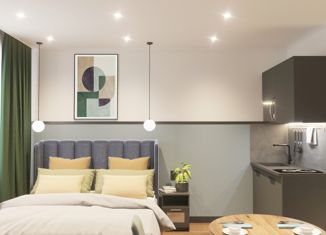 Продажа квартиры студии, 12.5 м2, Санкт-Петербург, улица Александра Невского, 9, улица Александра Невского
