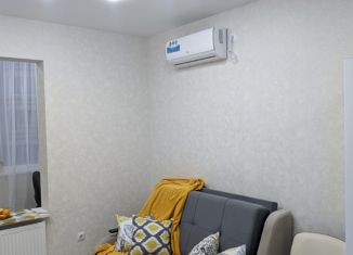 Продаю квартиру студию, 26.5 м2, Краснодар, Круговая улица, 4Вк7, ЖК Цветы