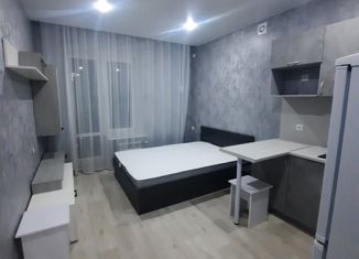 Сдам в аренду квартиру студию, 23 м2, Пенза, улица Шмидта, 3