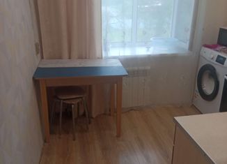 Однокомнатная квартира на продажу, 31.2 м2, село Красицкое, Центральная улица, 6