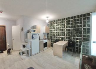 Продается квартира студия, 26.6 м2, Кохма, микрорайон Просторный, 8