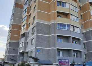 Продам квартиру студию, 26.2 м2, село Новая Усмань, Раздольная улица, 1