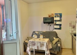 Продажа квартиры студии, 28 м2, Санкт-Петербург, улица Вадима Шефнера, 10к1, метро Приморская