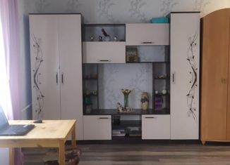 Продается 1-комнатная квартира, 30.8 м2, Новосибирск, улица Королёва, 18, метро Берёзовая роща