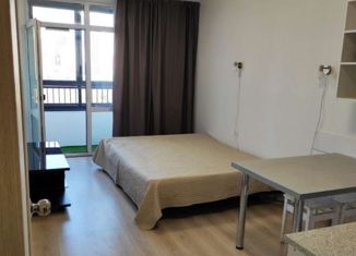 Продается квартира студия, 22 м2, Екатеринбург, ЖК Меридиан, улица Евгения Савкова, 23