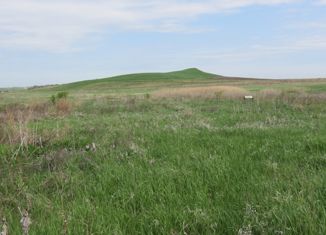 Продам участок, 10 сот., деревня Рязановка, Центральная улица