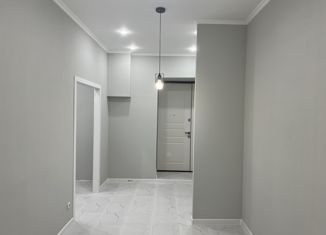 Продается 2-комнатная квартира, 52.9 м2, Санкт-Петербург, Заозёрная улица, 6, Заозёрная улица