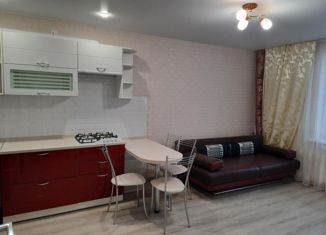 Продажа однокомнатной квартиры, 42 м2, Рязанская область, Совхозная улица, 6