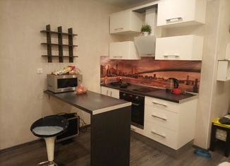 Квартира на продажу студия, 24 м2, Мурино, проспект Авиаторов Балтики, 5, ЖК Виктория