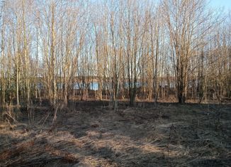 Продам участок, 1641 сот., деревня Крева