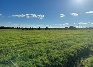 Продаю участок, 6 сот., деревня Еремеево