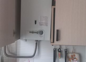 1-комнатная квартира на продажу, 33 м2, посёлок Сатис, Заводская улица, 6