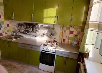 Сдается 1-ком. квартира, 41 м2, Белгородская область, квартал № 1, 2