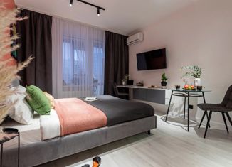 Продается квартира студия, 25 м2, Санкт-Петербург, Торфяная дорога, 17к2, ЖК Артлайн