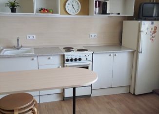 Сдам в аренду квартиру студию, 25 м2, Санкт-Петербург, Парашютная улица, 58, ЖК Каменка