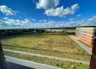 Продаю 1-ком. квартиру, 44.7 м2, деревня Ивановское, улица Семёна Гордого, 8