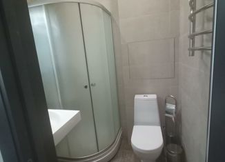 Квартира на продажу студия, 19.2 м2, Москва, Балакиревский переулок, 23, метро Бауманская