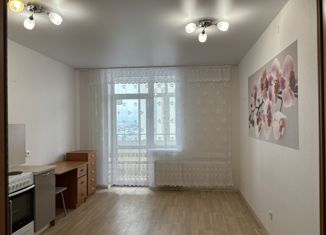 Квартира на продажу студия, 25.8 м2, Екатеринбург, Мостовая улица, 47, Ленинский район
