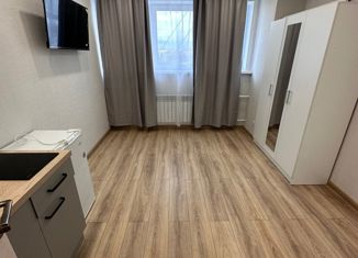 Продается квартира студия, 14 м2, Москва, Рязанский проспект, 5, метро Нижегородская