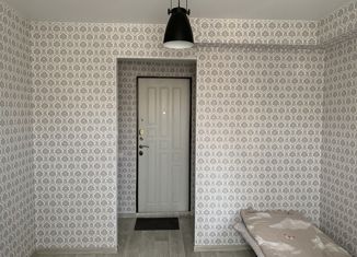 Продажа квартиры студии, 18.6 м2, Пермь, Грузинская улица, 11, Дзержинский район