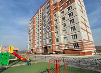 Продажа 1-комнатной квартиры, 38.9 м2, Свободный, Шатковская улица, 213