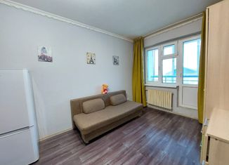 Продается 1-комнатная квартира, 24.1 м2, Якутск, улица Жорницкого, 44/1, 17-й микрорайон