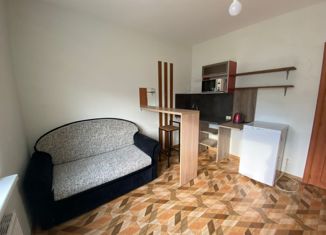 Сдача в аренду комнаты, 65 м2, Ленинградская область, Ручьёвский проспект, 3к1