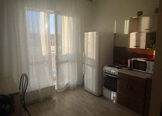 Продам 2-комнатную квартиру, 54.1 м2, Новосибирск, улица Ясный Берег, 13, улица Ясный Берег