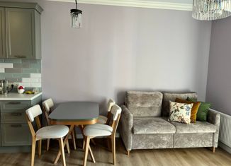 Однокомнатная квартира на продажу, 36.5 м2, Санкт-Петербург, Белоостровская улица, 10к1, метро Лесная