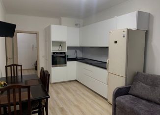 Сдается в аренду двухкомнатная квартира, 60 м2, Санкт-Петербург, 2-й Предпортовый проезд, 6, ЖК Полис на Московской