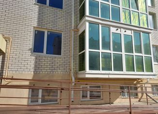 1-ком. квартира на продажу, 26 м2, Михайловск, улица Михаила Калашникова, 43