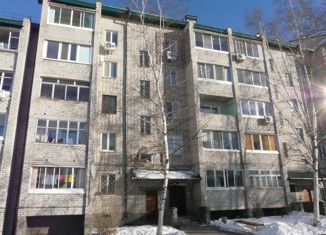 Сдается 2-комнатная квартира, 44 м2, Арсеньев, улица Балабина, 12