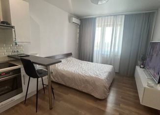 Продаю квартиру студию, 25.3 м2, Санкт-Петербург, Рыбацкий проспект, 17к1, Рыбацкий проспект