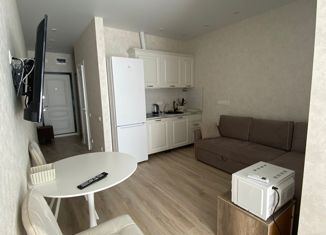 Продается квартира студия, 33 м2, посёлок городского типа Дагомыс, улица Гайдара, 22, ЖК Босфор