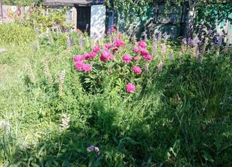 Продаю участок, 19.6 сот., село Алакаевка, Берёзовая улица, 10