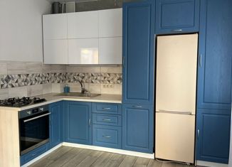 Продается 2-комнатная квартира, 49 м2, деревня Киселёвка, Никольская улица, 2А