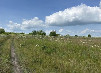 Продается земельный участок, 630 сот., село Ижеславль