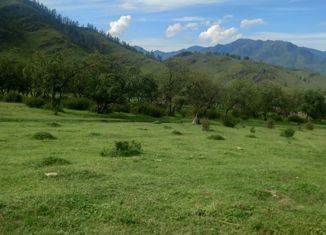 Продажа участка, 22536 сот., село Онгудай, улица Ленина