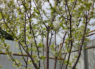 Продам дом, 45 м2, СНТ Прогресс