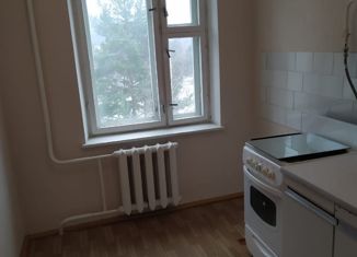 2-комнатная квартира на продажу, 43.2 м2, Межгорье, Комсомольская улица, 39