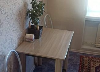 Однокомнатная квартира на продажу, 32 м2, поселок Светлый, поселок Светлый, 10