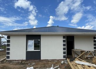 Продажа дома, 121 м2, деревня Старый Чультем, Еловая улица