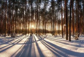 Продажа участка, 14 сот., деревня Ерыково