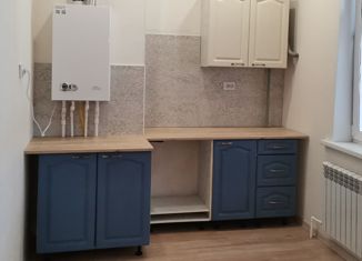 Квартира на продажу студия, 25.8 м2, село Нежинка, Фестивальная улица, 25, ЖК Золотой Квартал