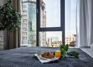 Квартира в аренду студия, 20 м2, Сочи, Депутатская улица, 10Б/1