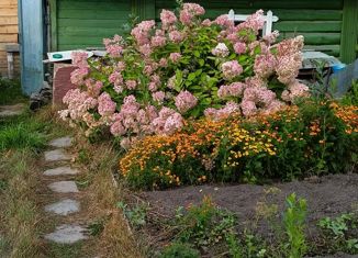 Продажа дома, 55 м2, село Малобрусянское, Р-351, 38-й километр