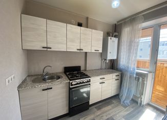 Продается однокомнатная квартира, 25.3 м2, деревня Крутые Выселки, улица Герасимова, 2Ж, ЖК Изумрудный Город