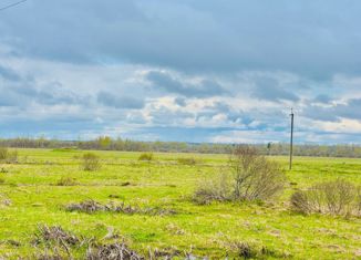 Продаю земельный участок, 900 сот., Псковская область