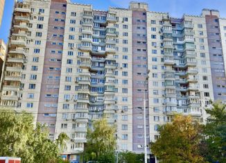 Продам квартиру студию, 19.5 м2, Москва, 1-я Дубровская улица, 1к2, метро Пролетарская